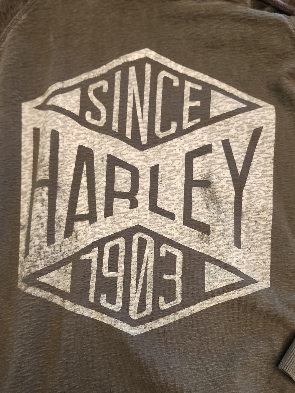 Harley-Davidson Hoodie with Front Logo - Picture 7 of 16